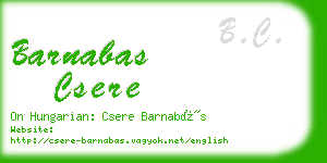 barnabas csere business card